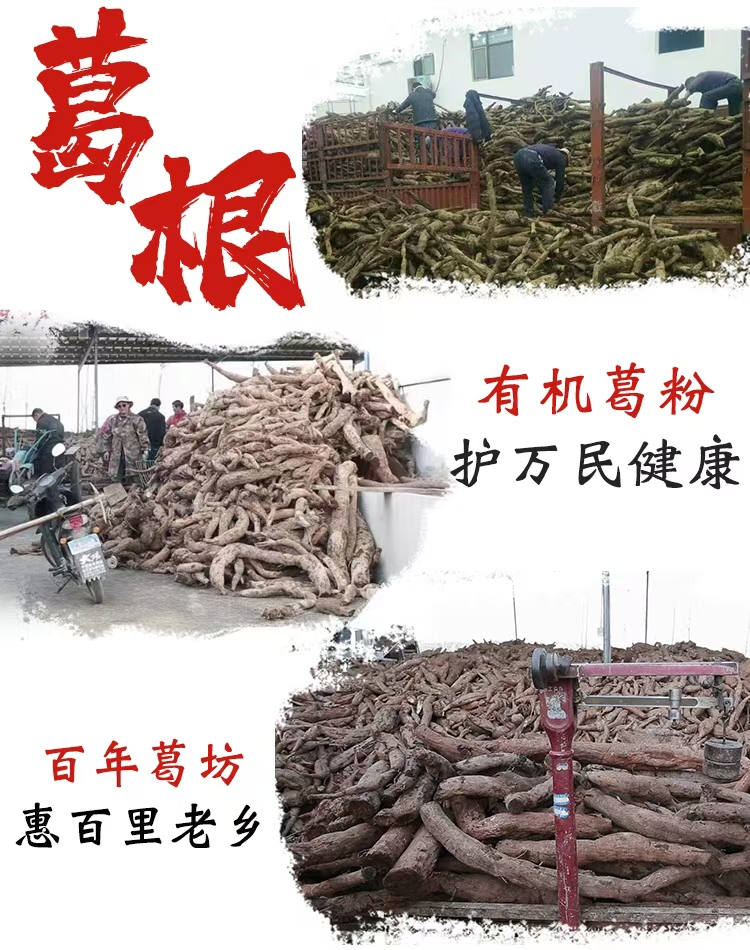 1746516067618262.jpg 收葛根圖.jpg