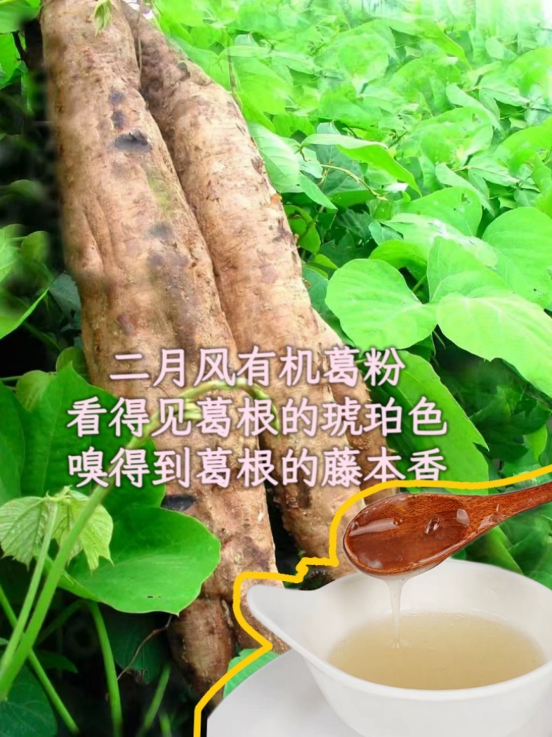 二月風(fēng)有機(jī)葛粉，看得見葛根的琥珀色，嗅得到葛根的藤本香_800.jpg