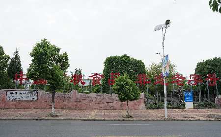 當(dāng)定制葛粉時(shí)，我們真正在選擇什么？