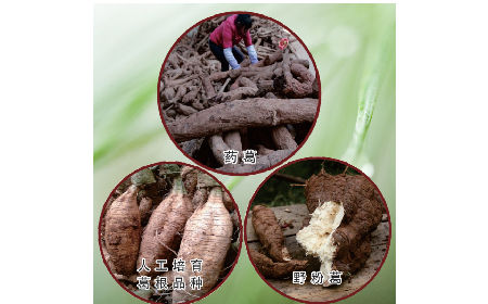 買葛粉是買野生的好？還是野生有機的好？