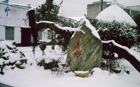 二月風(fēng)致老友：一碗葛根粉的牽掛，農(nóng)博會上的重逢之約二月風(fēng)盼老友：農(nóng)博會上，再續(xù)葛粉情緣